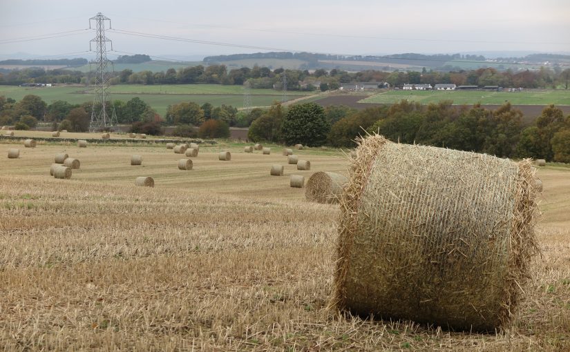 Harvest home