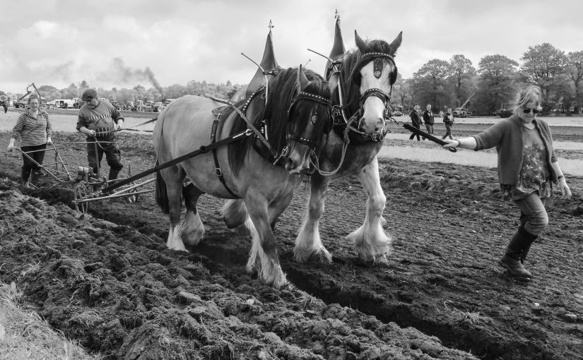 Views on agricultural implements in Scotland in the 1790s: the plough