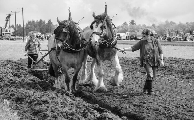 Speed the plough: a commentary on ploughing matches and ploughmen in 1880