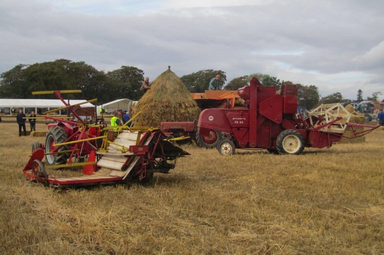 Accounts of grain harvesting in 1927 and 1945