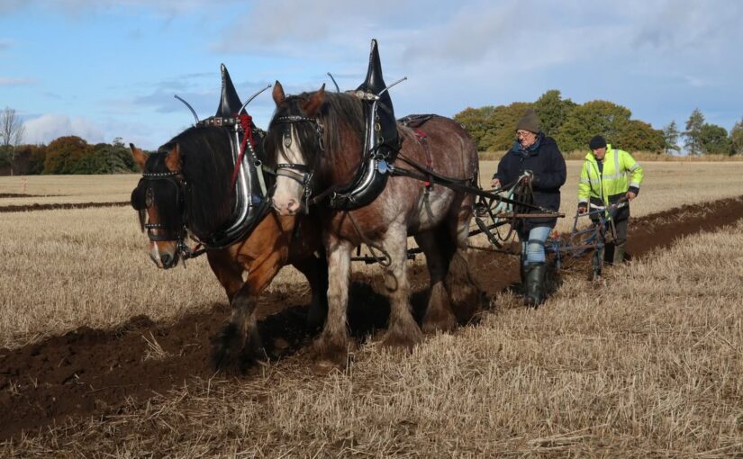 A commentary on ploughing matches in Aberdeenshire in 1924