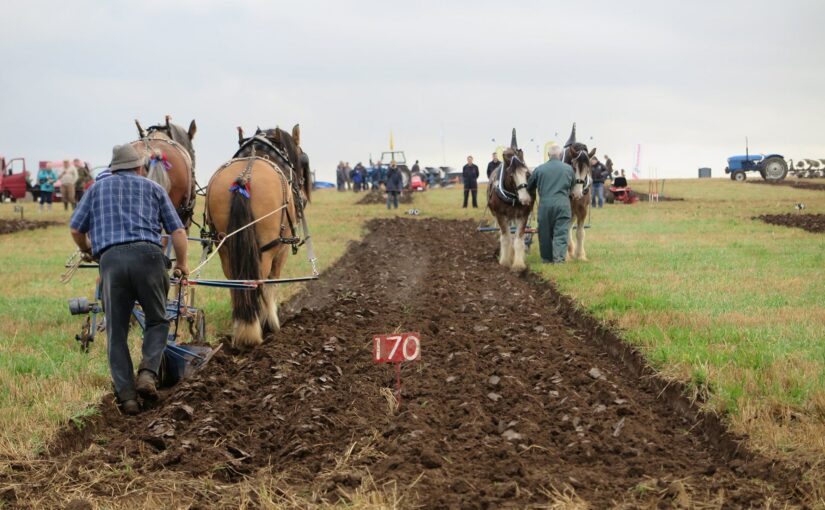 Ploughing matches in Scotland in 1825