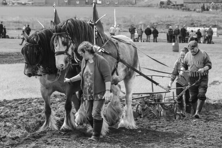 Some lesser-known plough makers in Scotland